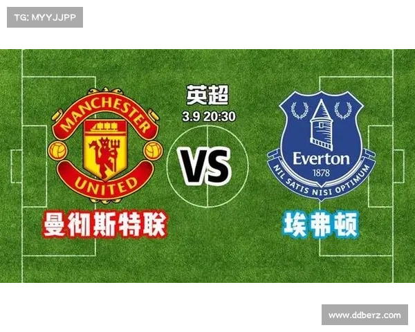 2018埃弗顿英超征程全记录激情挑战与荣耀时刻 2018埃弗顿英超征程全记录激情挑战与荣耀时刻
